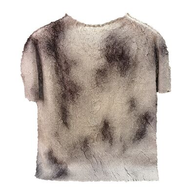 High-End Crepe Top Spring Summer T-Shirt New Short Sleeve Round Neck Stretch Slim Fit Tea Style Solid Color Anti-Pilling