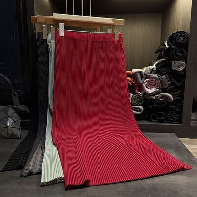 High-End Niche Design Autumn New Solid Color Casual A-Line Pleated Skirt Elegant and Graceful Elastic Waist Slit Straight