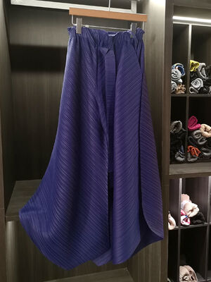 High-End Women's Casual Elegant Versatile Slimming Loose Pleated Wide-Leg Skirt Pants Solid Color Irregular Elastic High