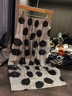 Women's Polisette A-Line Summer Skirt High Waist Printed Slim Velvet Pleated Design Niche Look for Spring and Summer