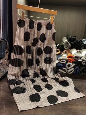 Women's Polisette A-Line Summer Skirt High Waist Printed Slim Velvet Pleated Design Niche Look for Spring and Summer