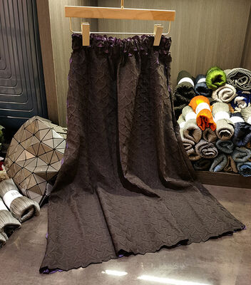 Pleated Minor Popular Half Skirt Woman 2024 New Unique Style High Waist Thin A-line Skirt in Long YZH