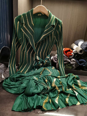 Autumn Casual High-End Gold Stamping Printed Pleated Dress Long Striped Sleeves Waist-Cinching Pleated Skirt Spliced Two-Piece