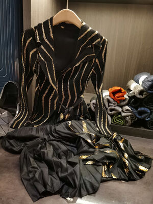 Autumn Casual High-End Gold Stamping Printed Pleated Dress Long Striped Sleeves Waist-Cinching Pleated Skirt Spliced Two-Piece