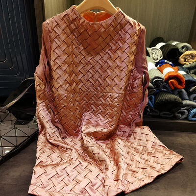 Design Idea Half High Neck Net Yarn Sleeve Braided Pleated Dress Loose Flesh Shading Thin A-line Skirt Woman New Spring