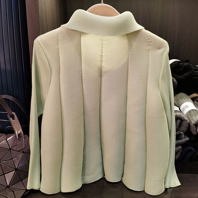 High-End Women's Two-Piece Set Elegant Age-Reducing Pure Color Single-Breasted Pleated Skirt Lapel Casual Suit for Spring