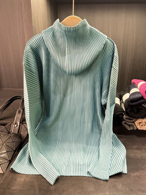 Autumn Style High-End Women's Cardigan Jacket Zipper Closure Hood Versatile Casual Pleated Slimming Top Solid Polyester Worsted